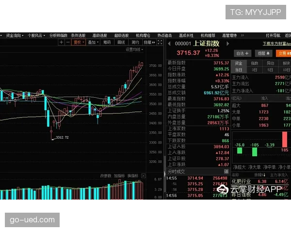 穆西亚拉会高开低走吗?成长轨迹与持续性分析 穆西亚拉会高开低走吗?成长轨迹与持续性分析
